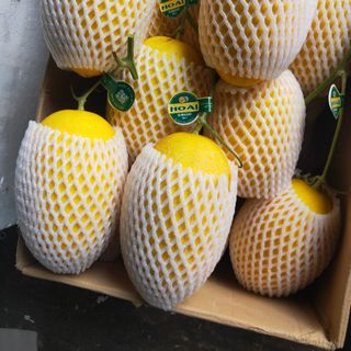 Dưa Huỳnh Long loại 1