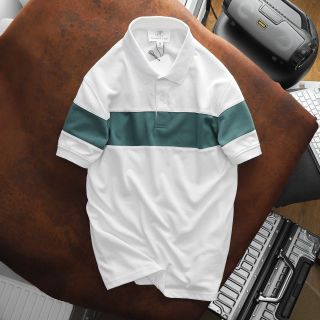 Áo thun nam, Áo thun có cổ cao cấp, Chất liệu Cotton mềm mại và thấm hút tốt, dễ mặc, Form Slimfit vừa vặn, dễ dàng kết hợp cùng nhiều loại trang phục size từ 55kg - 85kg