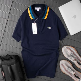 Áo thun có cổ nam, áo polo thời trang nam, Chất vải cá sấu cotton 4c xịn loại 1 size từ 50kg - 90kg