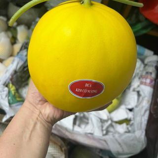 DƯA VÀNG KIM CÔ NƯƠNG