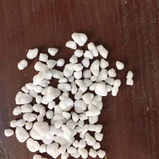 Amon Hạt Trắng ( Muối Lạnh )