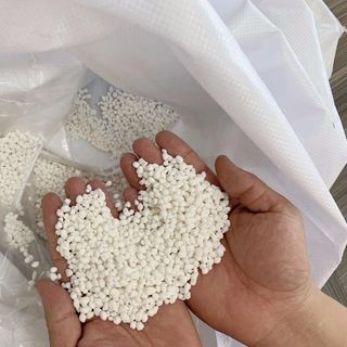 Amon Hạt Trắng ( Muối Lạnh )