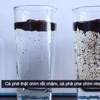Cà phê Robusta Honey S16 vụ mới