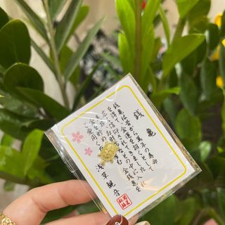 Rùa vàng để ốp điện thoại