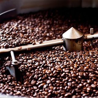 Cà phê Robusta Honey S16 vụ mới