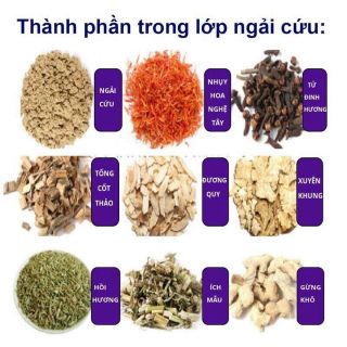 Đệm Ngãi Cứu Đông Y