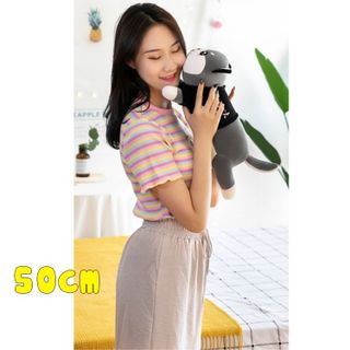Gấu Bông Mèo Husky Thú Bông Siêu To Khổng Lồ Lông Nhung Mềm Mịn Co Dãn 4 Chiều Size 50cm-1m5