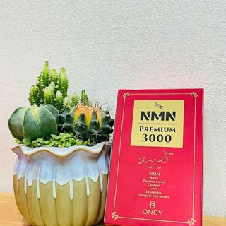 Viên uống NMN Nhật Bản 3000 ( 60 viên ) giá sỉ