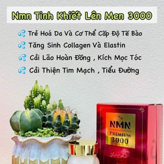 Viên uống NMN Nhật Bản 3000 ( 60 viên )