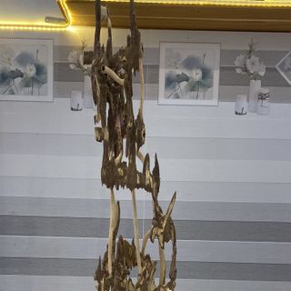 Trầm Cảnh Kiến Chưng