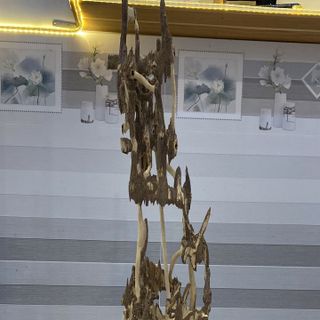 Trầm Cảnh Kiến Chưng
