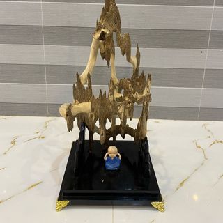 Trầm Cảnh Kiến Chưng