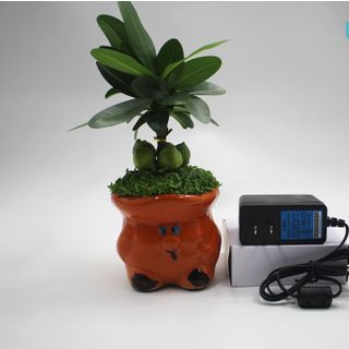 Adapter UNI STD-12024U1, 12VDC -2A, có đèn, chính hãng