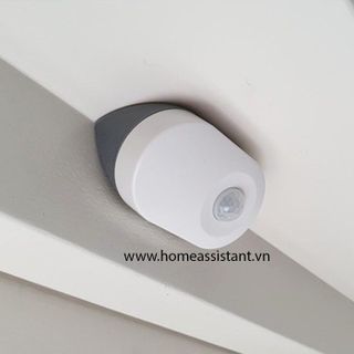 Cảm Biến Hồng Ngoại Zigbee IKEA Tradfri TP01 (Hỗ trợ HomeAssistant) Zigbee2MQTT