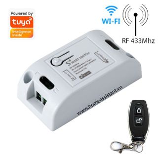 Công Tắc Wifi Và RF 10A Tuya SW01 (Smart Life) giá sỉ