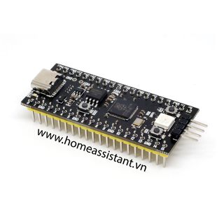 Bo Mạch Vi Điều Khiển Nhúng Raspberry Pi Pico RP2040 (Micro Python)