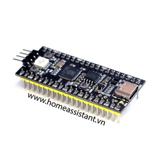 Bo Mạch Vi Điều Khiển Nhúng Raspberry Pi Pico RP2040 (Micro Python)