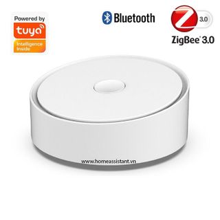 Trung Tâm Hub Zigbee 3.0 Bluetooth BLE Mesh Wifi Tuya ZBG-01 giá sỉ
