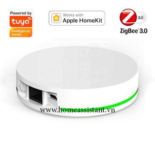 Trung Tâm Hub Zigbee 3.0 Tuya HomeKit Ethernet ZHG01 (Hỗ trợ Home Assistant) Smart Life Hass giá sỉ