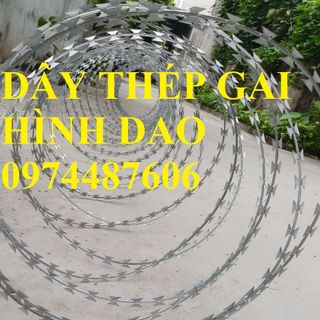Dây thép gai hình dao đường kính 35, 45,60, 80,90cm làm hàng rào chống trộm giá sỉ
