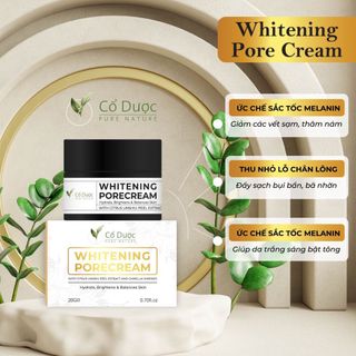 Kem trắng da, dưỡng da Cổ Dược chiết xuất từ vỏ quýt và trà xanh lành tính 20Gr