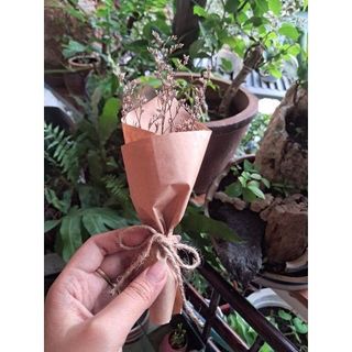 Bó hoa khô mini, xinh xẻo, dùng trang trí thiệp, quà tặng, decor nhà cửa