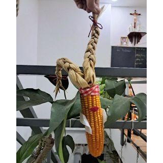 Cô gái bắp ngô trang trí, decor nhà cửa