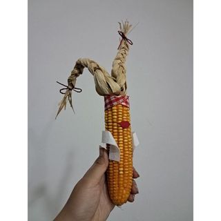 Cô gái bắp ngô trang trí, decor nhà cửa