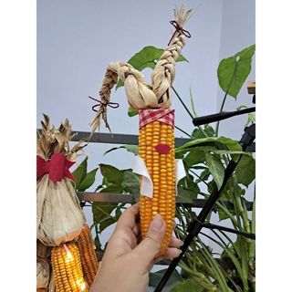 Cô gái bắp ngô, ngô khô trang trí, decor nhà cửa
