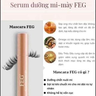 Macara feg