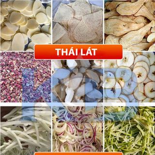 Máy thái rau củ đa năng YC-220C