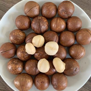 Nhân Hạt Macca -Linh Chi