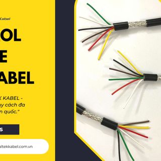 Cáp tín hiệu chống nhiễu ALTEK KABEL tiêu chuẩn Châu Âu