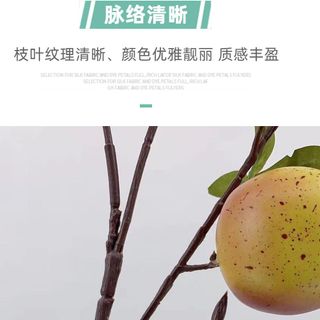 Cành lựu đỏ 5-7 quả