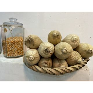 Bắp khô trang trí , ngô khô decor, bắp vàng