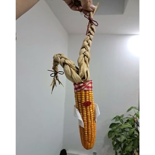 Trái bắp khô, ngô khô trang trí, bắp vàng