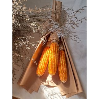 Trái bắp khô, ngô khô trang trí, bắp vàng