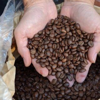 Cà phê Robusta Honey giá sỉ