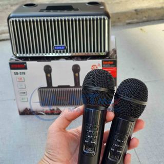 Loa karaoke bluetooth SD319 2 mic âm thanh hay nhỏ gọn phiên bản mới