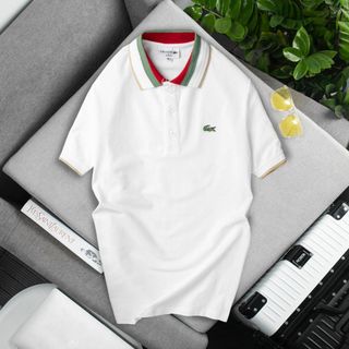 Áo thun có cổ nam, áo thun cổ bẻ nam, chất thun ca sấu cotton size từ 55kg - 85kg