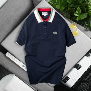 Áo thun có cổ nam, áo thun cổ bẻ nam, chất thun ca sấu cotton size từ 55kg - 85kg