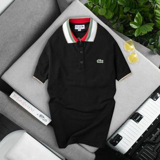 Áo thun có cổ nam, áo thun cổ bẻ nam, chất thun ca sấu cotton size từ 55kg - 85kg