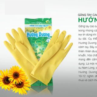 Găng Tay Cao Su Hướng Dương