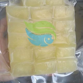 Nước ép chanh đông lạnh giá sỉ