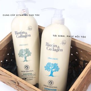 Dầu Gội Biotin Collagen