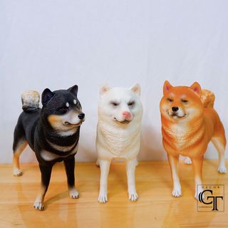 Mô hình các loài chó | Corgi - Bulldog Anh - Rottweiler - Shiba- Golden - Bully- Golden