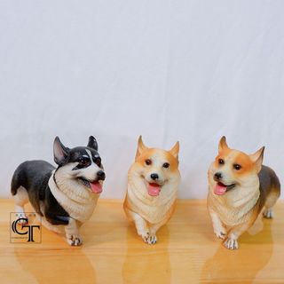 Mô hình các loài chó | Corgi - Bulldog Anh - Rottweiler - Shiba- Golden - Bully- Golden giá sỉ