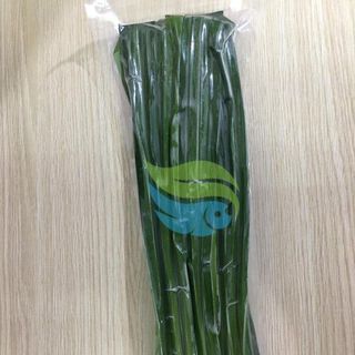 Lá dứa đông lạnh