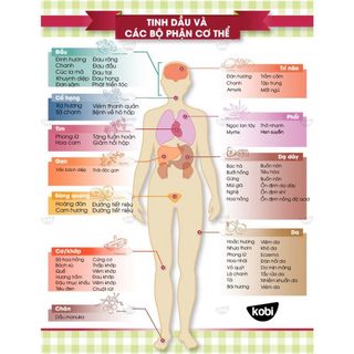 Tinh dầu thiên nhiên Kobi giúp thơm phòng, xả stress, kích thích miễn dịch