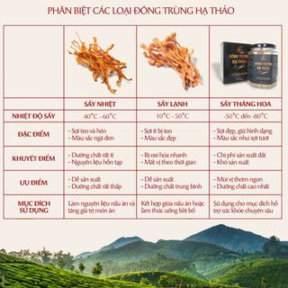 Nấm đông trùng hạ thảo khô sấy thăng hoa (10gr) - Nuôi trồng 100% Organic trên Cao nguyên Đà Lạt